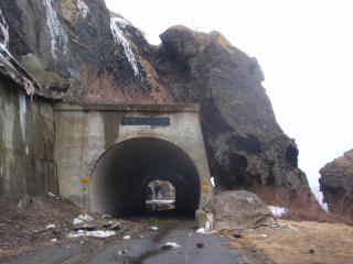 20100320105718P3205067.jpg