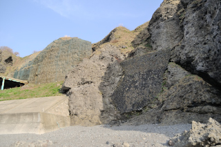 20260414133058DSC_0039.jpg
