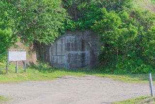 20250618155810DSC_0601.jpg