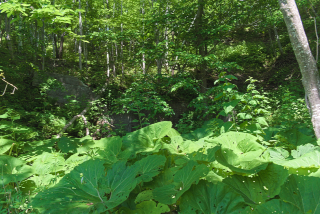 20250625095010DSC_0003.jpg