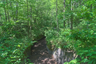 20250625095638DSC_0016.jpg