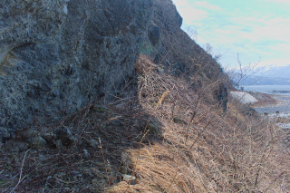 20260326121012DSC_0051.jpg